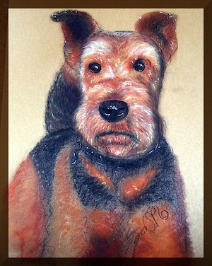 Terrier Hundeportrait.jpg