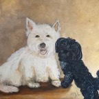 Hund und Katze Tierportrait.jpg